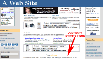 Example of a blog stuffed full of advertising