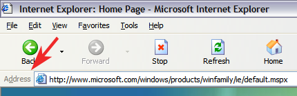 Microsoft Internet Explorer Address Bar