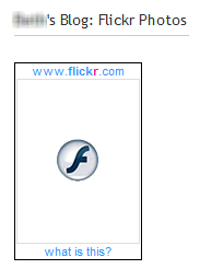 Flickr with Flash Block enabled