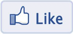 Facebook Like Button