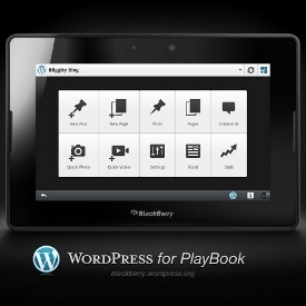 Wordpress Playbook Options