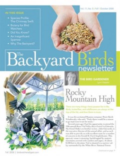 blog-post-ideas-bird-magazine