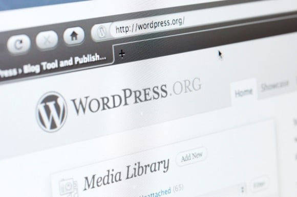 wordpress video plugins