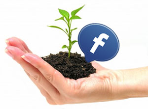 facebook page growth