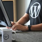 WordPress 100 Year Plan