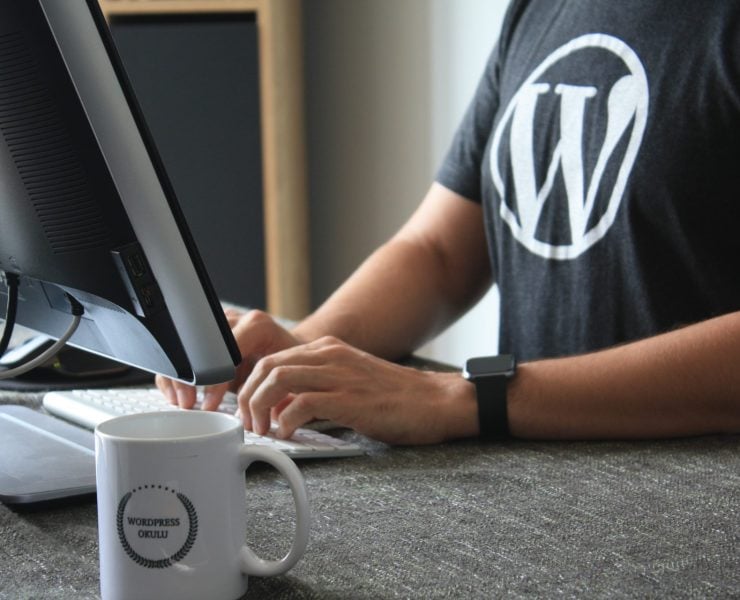 WordPress 100 Year Plan
